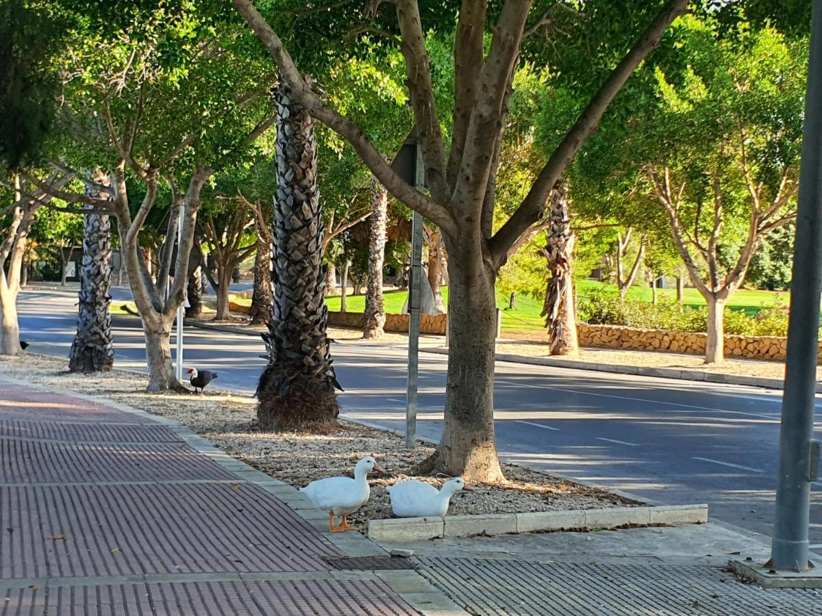 Md Cheap'N Chic Alicante ムチャメル エクステリア 写真